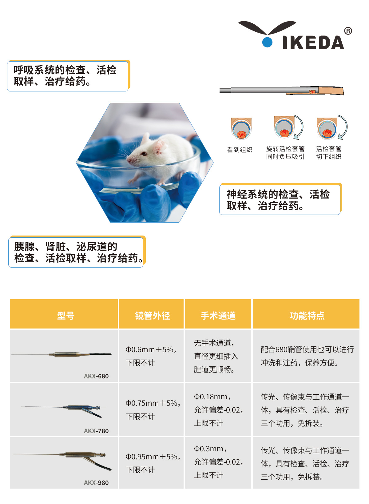 益柯達大、小鼠腸鏡解決方案